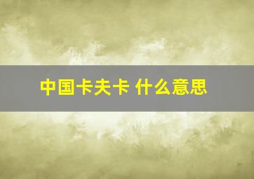 中国卡夫卡 什么意思